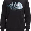 The North Face Men's Logo Play Pullover Hoodie Tnf Black