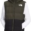 The North Face Boys' Reversible North Down Hooded Vest Tnf Black