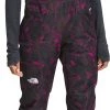 The North Face Women's Freedom Snow Bib Roxbury Pink Hlftone Flrl