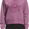 The North Face Women's Recycled Expedition Graphic Hoodie Pikes Purple