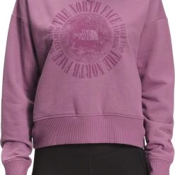 The North Face Women's Recycled Expedition Graphic Hoodie Pikes Purple