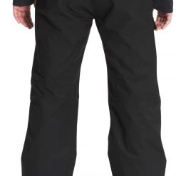 The North Face Men's Seymore Ski Pants Tnf Black -DealsThe North Face Store unnamed file 1321