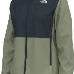 The North Face Women's Denali 2 Fleece Jacket Tea Green -DealsThe North Face Store unnamed file 1331