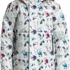 The North Face Kids' North Down Hooded Jacket For Boys' Tin Grey Winter Critte Pr