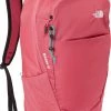 The North Face Basin 18 Backpack For Unisex Slaterose/porcelaingreen