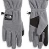 The North Face Etip™ Heavyweight Fleece Glove For Men Shady Blue