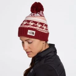 The North Face Women's Fair Isle Beanie Laurel Wreath Green -DealsThe North Face Store unnamed file 2129