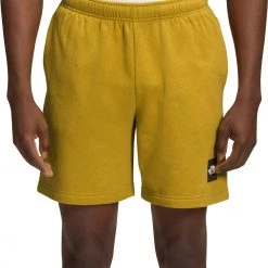The North Face Men's Never Stop Shorts Mineral Gold/tnf Black