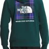The North Face Men's Printed Box NSE Hoodie Pndrsgr/pndrsgrmdicnpdprt