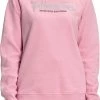 The North Face Women's Graphic Injection Crewneck Sweatshirt Wild Ginger