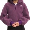 The North Face Women's Platte Sherpa 1/4 Zip Pullover Pikes Purple/gravity Prpl