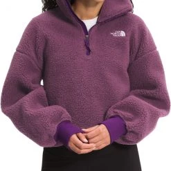 The North Face Women's Platte Sherpa 1/4 Zip Pullover Pikes Purple/gravity Prpl