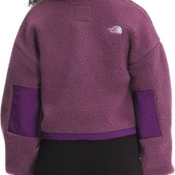 The North Face Women's Platte Sherpa 1/4 Zip Pullover Pikes Purple/gravity Prpl -DealsThe North Face Store unnamed file 304