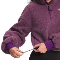 The North Face Women's Platte Sherpa 1/4 Zip Pullover Pikes Purple/gravity Prpl -DealsThe North Face Store unnamed file 305