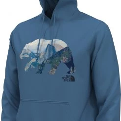 The North Face Men's TNF Bear Pullover Hoodie Banff Blue -DealsThe North Face Store unnamed file 450