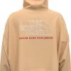 The North Face Women's Coordinates Hoodie Apricot Ice