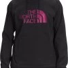 The North Face Men's Tekno Logo Hoodie Tnf Black/roxbury Pink
