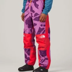 The North Face Men's TNF X Kaws Mountain Light Pants Kwpmplplmtltprt -DealsThe North Face Store unnamed file 740