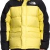 The North Face Men's HMLYN Down Parka Gravity Purple