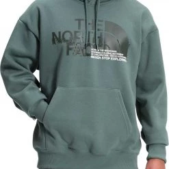 The North Face Men's Coordinates Pullover Hoodie Balsam Green
