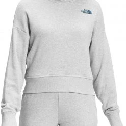 The North Face Women's Simple Logo Hoodie Tnf Light Grey Heather