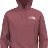 The North Face Men's Sleeve Hit Hoodie Slate Rose