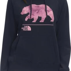 The North Face Women's Bearscape 2.0 Hoodie Ice Blue